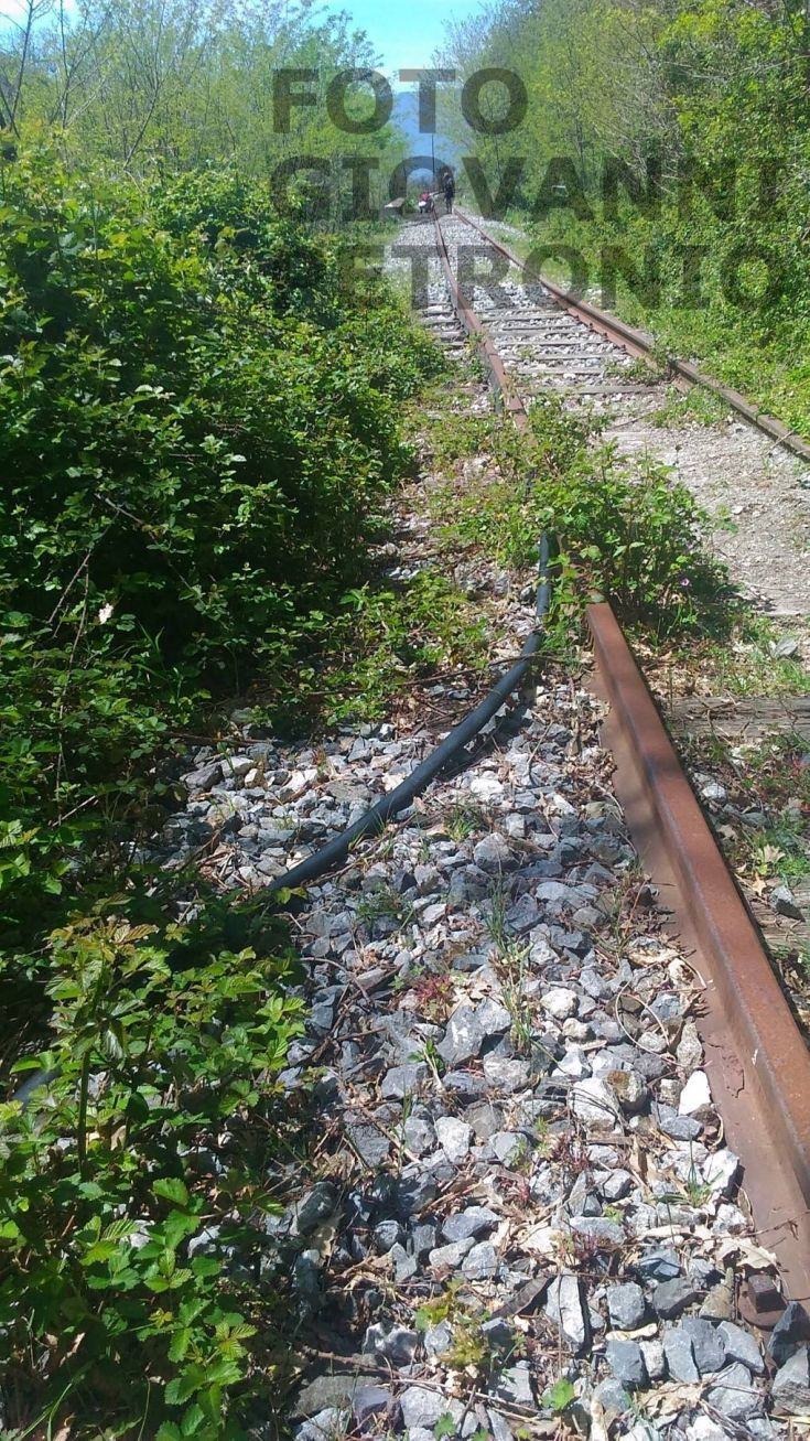 Soveria Mannelli-Rogliano09