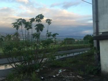 ex scuola elementari Rocchi (10)