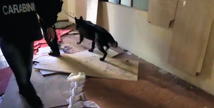 (FOTO) Perquisizioni a tappeto dei carabinieri a Cosenza: trovate armi e droga 63 Operazione carabinieri Cosenza2