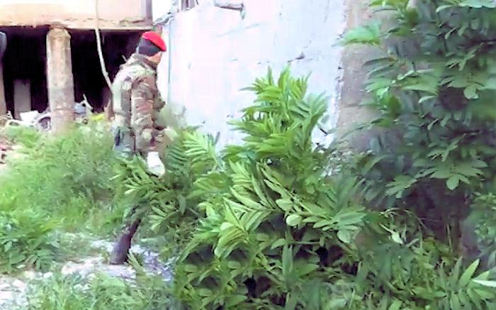(FOTO) Perquisizioni a tappeto dei carabinieri a Cosenza: trovate armi e droga 64 Operazione carabinieri Cosenza4