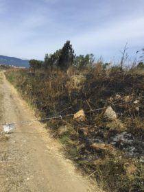 13403989_10209931545271001_8649298888664804908_o