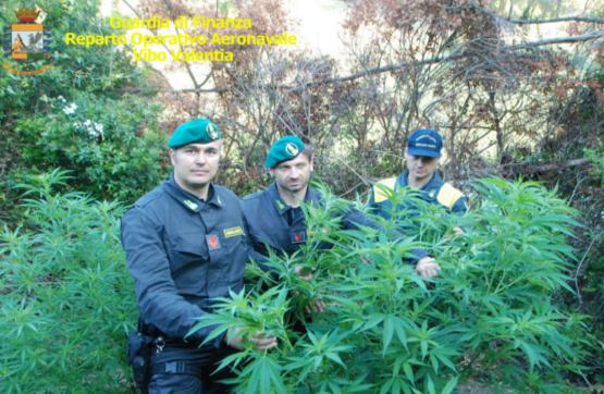 Guardia finanza marijuana