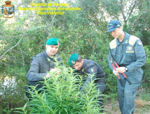 Guardia finanza vibo