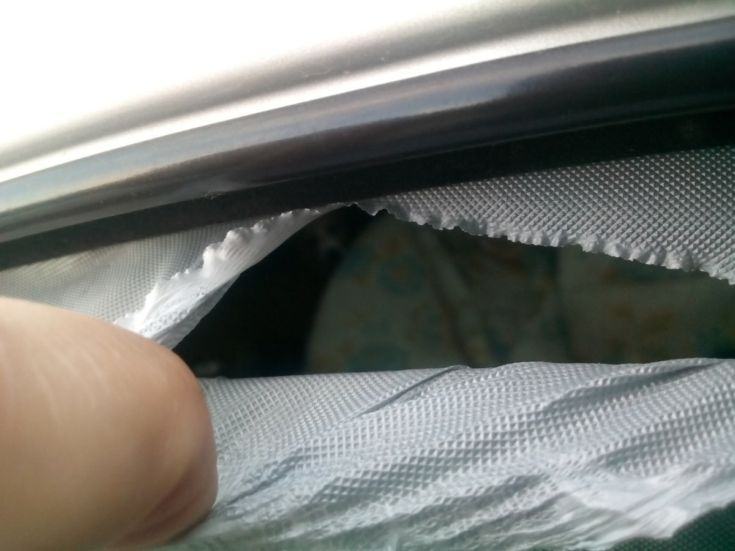 Oipa cane rinchiuso1_1