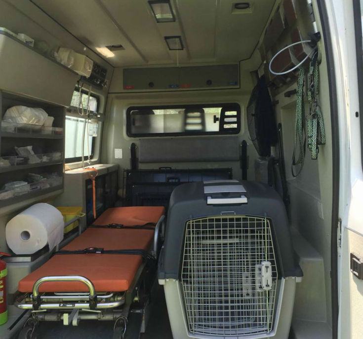 ambulanza veterinaria cosenza 01