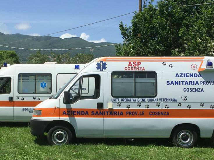 ambulanza veterinaria cosenza