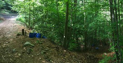 rifiuti monte cocuzzo 06