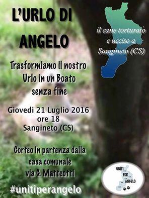 13590425_1733685883556755_3132494006928163394_n