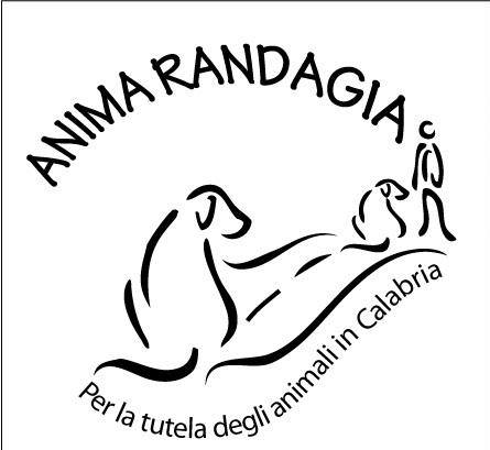 1535644_561326570617829_1346096027_n