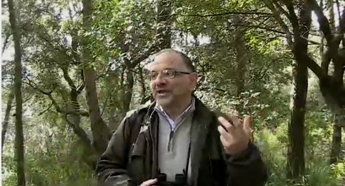 Il presidente regionale del Wwf Calabria Pino Paolillo