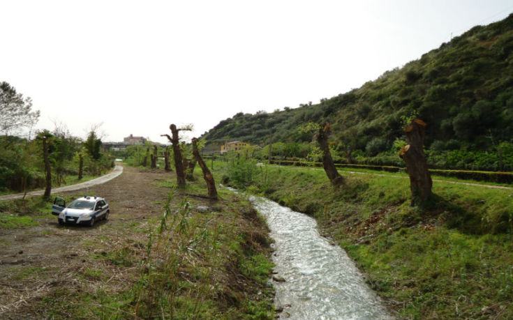 Disboscamento dissennato nel cosentino, due avvisi di garanzia 53 disboscamento 1