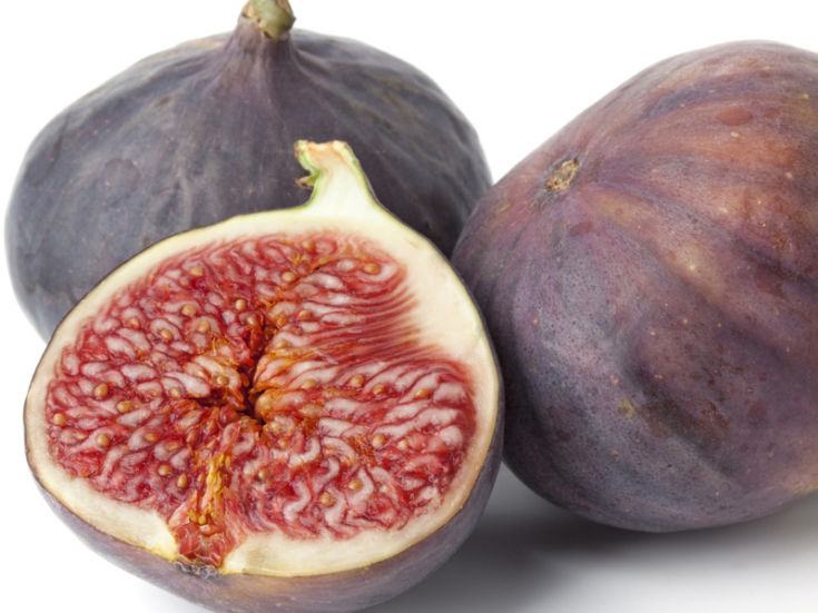 fichi 1