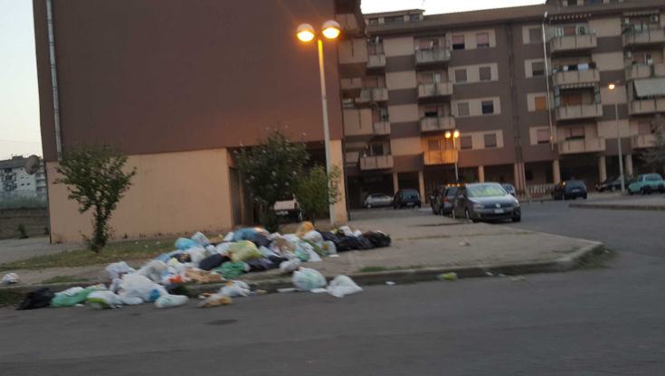 ultimo lotto spazzatura 03