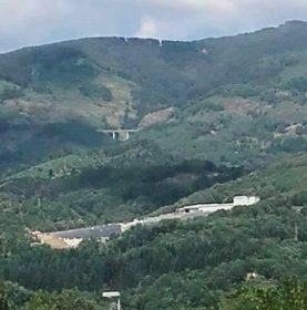 13932966_10153613329431949_203907277_n