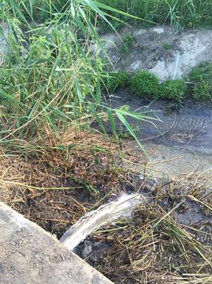 scarico abusivo Luzzi 01