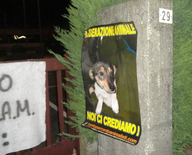 Giustizia per Angelo, 'Centopercentoanimalisti' annuncia il boicottaggio dei prodotti calabresi Despar 54 Padis Mestrino