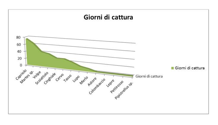 Biodiversità, fototrappolaggio per raccogliere dati e rilevare la presenza di specie selvatiche 57 giorni di cattura