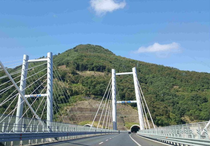 ponte calatrava Anas Rc Autostrada