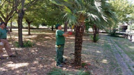 Parco Robinson e parchi fluviali al via i lavori di pulizia 60 verde 2