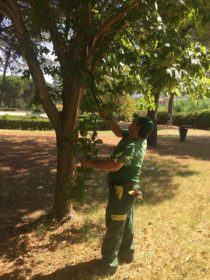 Parco Robinson e parchi fluviali al via i lavori di pulizia 63 verde 5