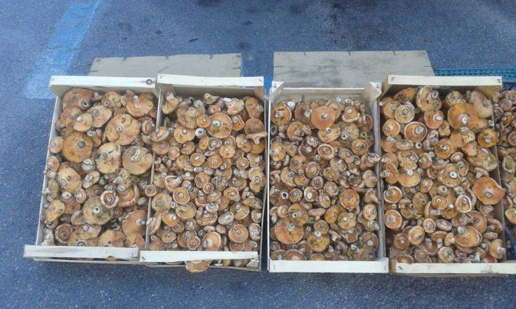 14489557_1738681436376451_237081453_o