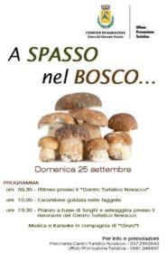 aspassonelbosco-230916