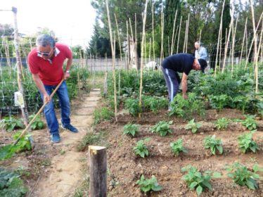 Orti solidali a Cosenza e Castrolibero contro l'esclusione sociale 57 orti sociali cosenza