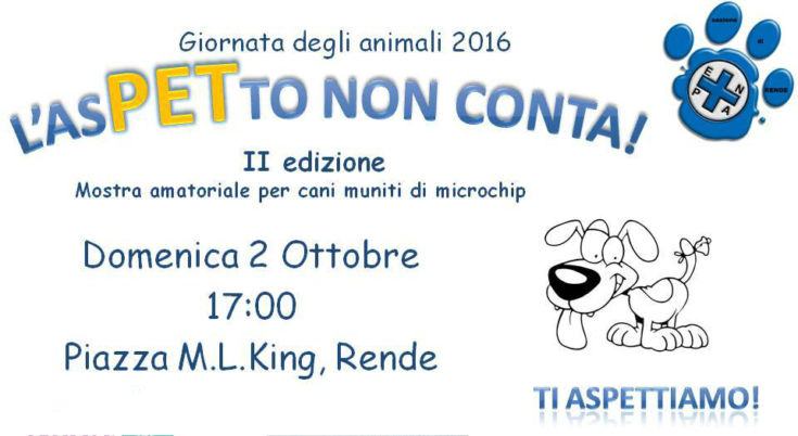 aspetto-non-conta-enpa