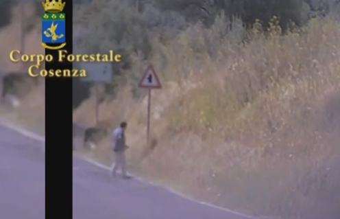 donna-appicca-incendio