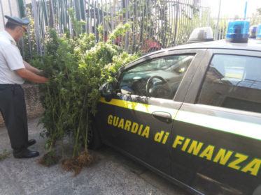 paola-arsenale-e-droga-02