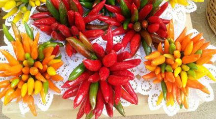Oliverio e i suoi venti mesi al peperoncino 55 peperoncino-piccante-jpeg-726x400
