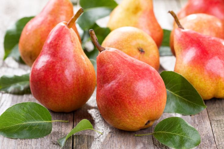 pere-rosse