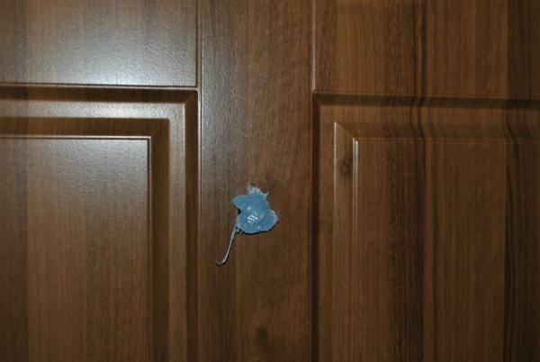 porta-occhiello-furto-cosenza