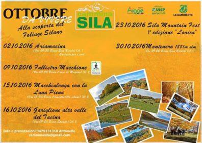 14494872_1777281079152640_305428786385900081_n