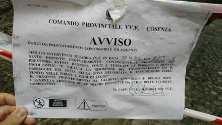 comitato-piazza-piccola1