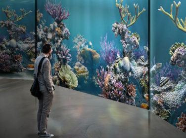 acquario-multimediale-diamante-03