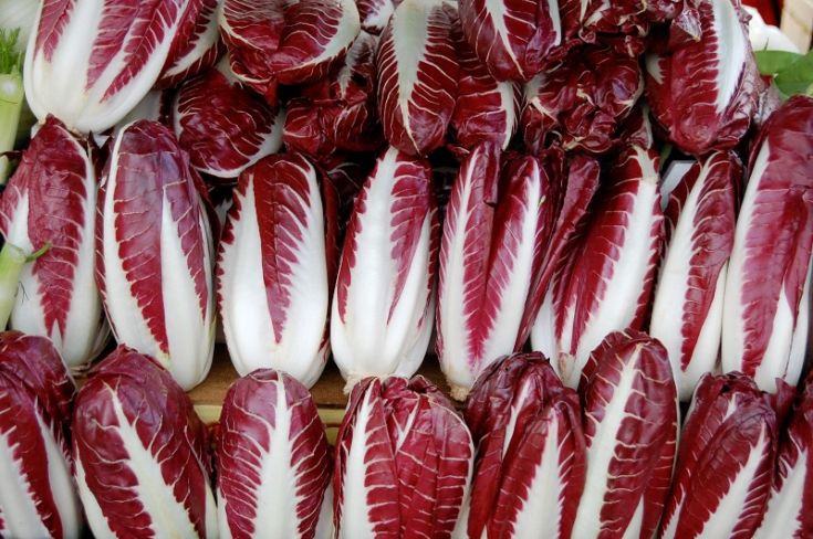 radicchio-di-treviso