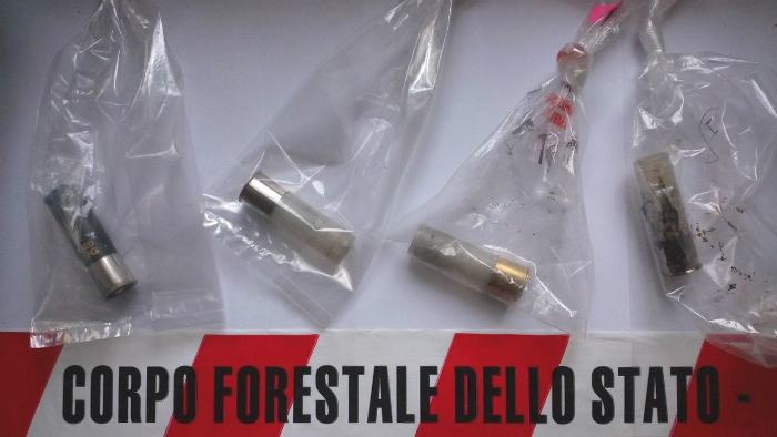 Uccisi a colpi di fucili 10 bovini al pascolo, forse un'intimidazione al proprietario del bestiame 56 sequestro-1
