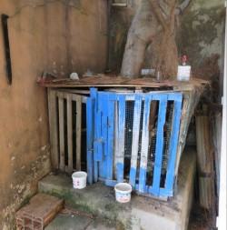 thumbnail_sequestro-corvi_gabbia