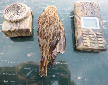 Bracconaggio selvaggio sul Crati ed in Sila, denunciate due persone 54 polizia_provinciale_s-giov-fiore_a2