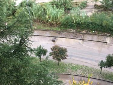 via-bosco-de-nicola2