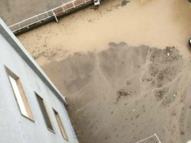 via-bosco-de-nicola4