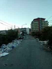 15388567_10210800661711013_1051298201_o