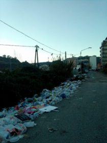 15409976_10210800661671012_1525122370_o