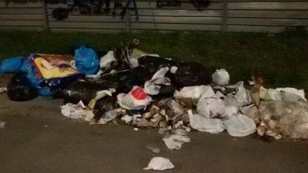 15785652_1526615527351794_57900131_o