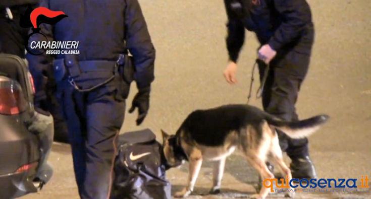 operazione-ecosistema01