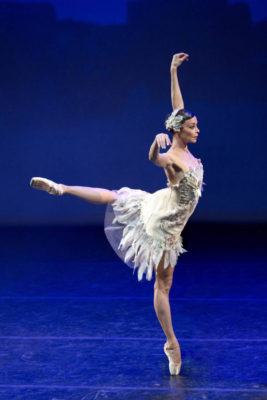 IL MANTELLO DI PELLE DI DRAGO