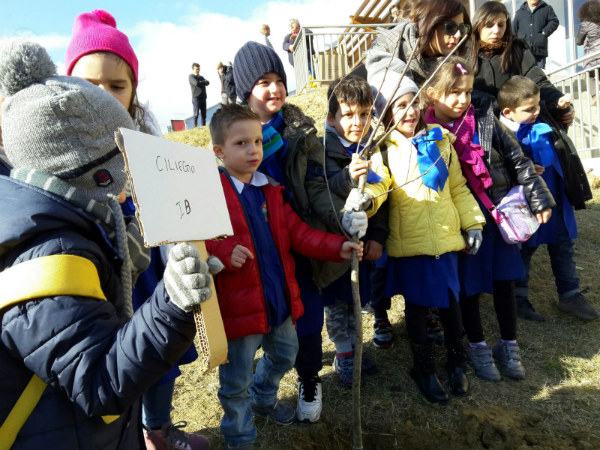 alberi-parlano-zumpano-03