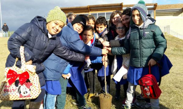 alberi-parlano-zumpano-04