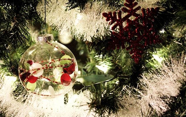 Accensione dell'albero di Natale domani a Cosenza - Quotidiano online